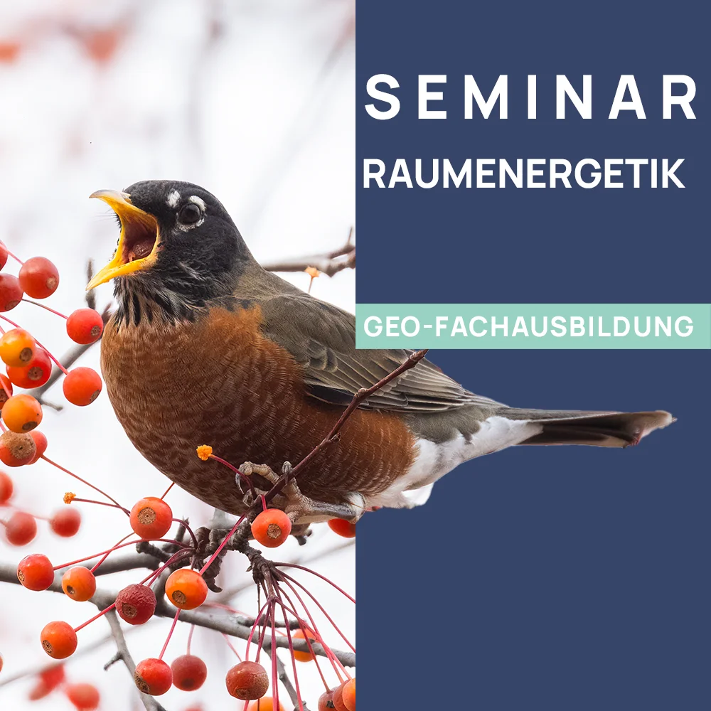 Raum-Energetik 2 Raum-Energetik